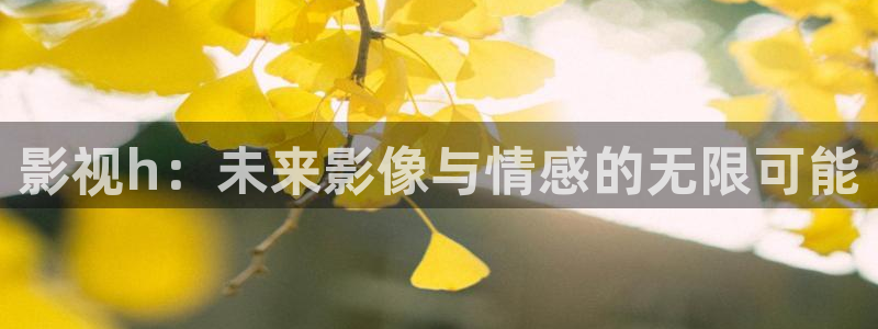 好看的白云视频：影视h：未来影像与情感的无限可能