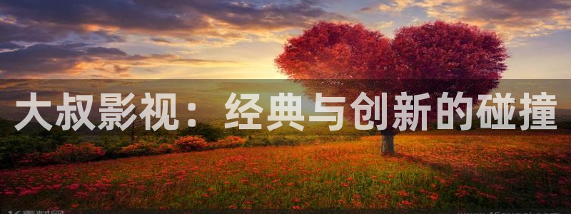 白云视频2025：大叔影视：经典与创新的碰撞