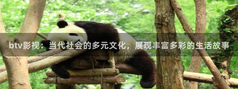 白云视频2025：btv影视：当代社会的多元文化，展现丰富多彩的生活故事