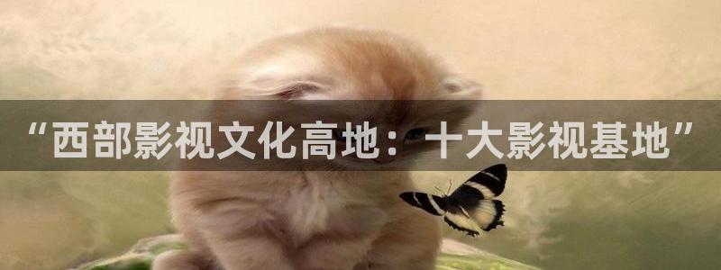 白云机场视频：“西部影视文化高地：十大影视基地”