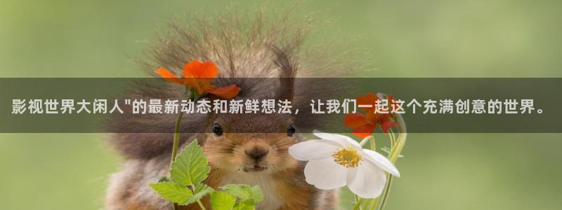 白云动画视频：影视世界大闲人\