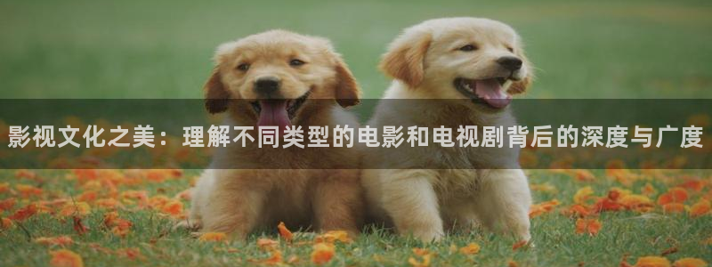 白云视频怎么投屏：影视文化之美：理解不同类型的电影和电视剧背后的深度与广度