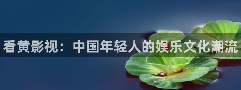 白云视频解析：看黄影视：中国年轻人的娱乐文化潮流