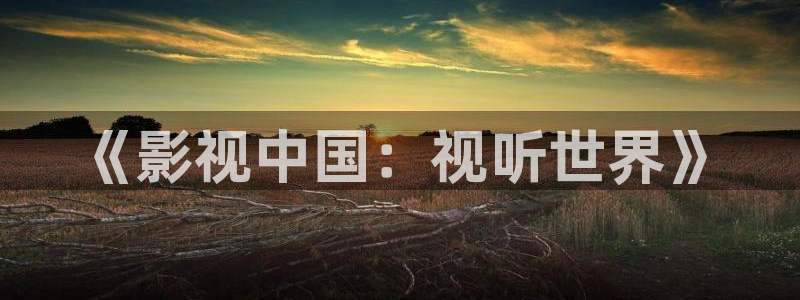 白云视频app下载安装：《影视中国：视听世界》